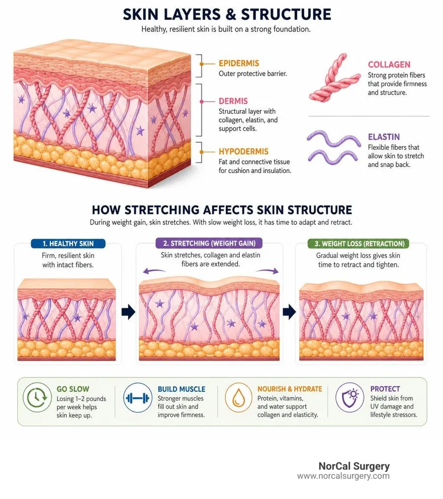 Skin layers diagram showing collagen and elastin, how stretching affects skin structure during weight loss infographic